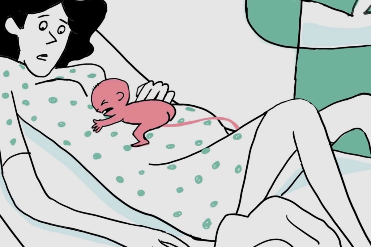 Результати експертизи анімаційного фільму «Пуповина» 