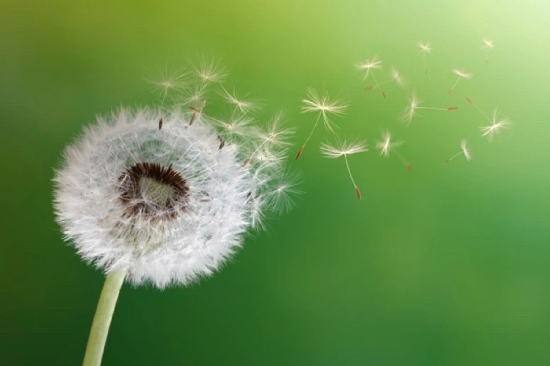 Дихальні техніки для подолання хвилювання, тривоги, страху, панічних нападів та мінімізації стресу